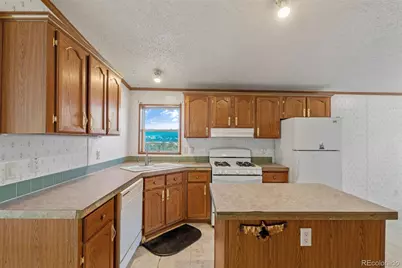 1711 Witcher Mountain Road, Guffey, CO 80820 - Photo 11