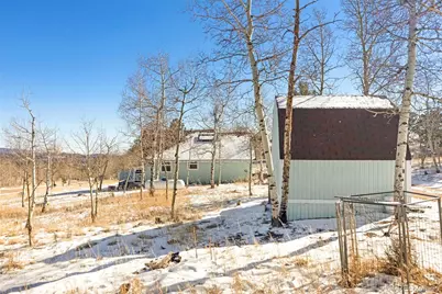 560 S Pine Drive, Bailey, CO 80421 - Photo 27