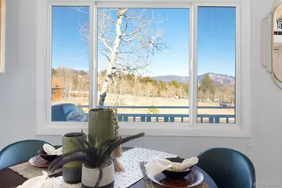 560 S Pine Drive, Bailey, CO 80421 - Photo 9