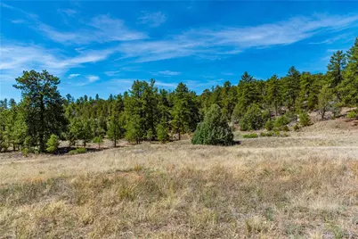Tbd L Arnold Drive, Cotopaxi, CO 81223 - Photo 27