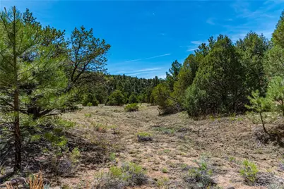 Tbd L Arnold Drive, Cotopaxi, CO 81223 - Photo 31