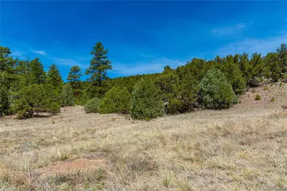 Tbd L Arnold Drive, Cotopaxi, CO 81223 - Photo 29