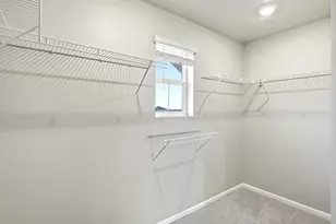 1679 Yampa River Dr, Windsor, CO 80550 - Photo 19