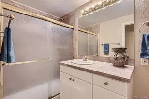 9853 Greensview Cir, Lone Tree, CO 80124 - Photo 29