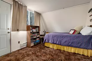 63 Welsh Cob Ln, Como, CO 80432 - Photo 21