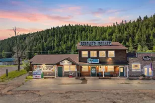 49 Co Rd 68, Bailey, CO 80421 - Photo 1