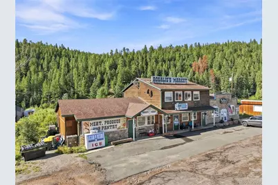 49 County Road 68, Bailey, CO 80421 - Photo 29