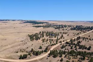 32030 Cattle Cir, Ramah, CO 80832 - Photo 37