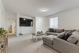 2922 Nectar St, Strasburg, CO 80136 - Photo 19