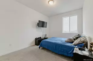 2922 Nectar St, Strasburg, CO 80136 - Photo 23
