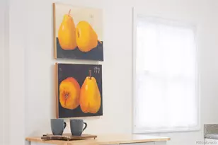 1164 Roslyn St, Denver, CO 80220 - Photo 11