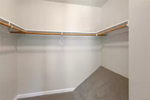 18 Mt Powderhorn, Florissant, CO 80816 - Photo 23