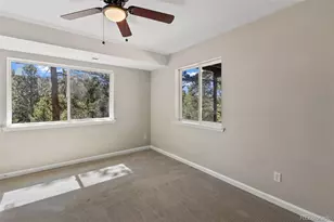 18 Mt Powderhorn, Florissant, CO 80816 - Photo 31