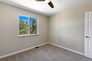 18 Mt Powderhorn, Florissant, CO 80816 - Photo 25