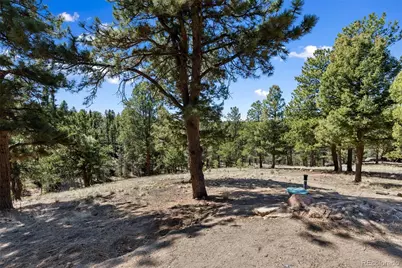 18 Mt. Powderhorn, Florissant, CO 80816 - Photo 5