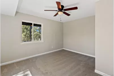 18 Mt. Powderhorn, Florissant, CO 80816 - Photo 29