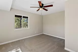 18 Mt Powderhorn, Florissant, CO 80816 - Photo 29