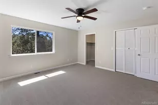 18 Mt Powderhorn, Florissant, CO 80816 - Photo 21