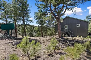 18 Mt Powderhorn, Florissant, CO 80816 - Photo 37