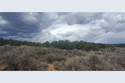 Lot 3968 Kruesi Road, Fort Garland, CO 81133 - Photo 5