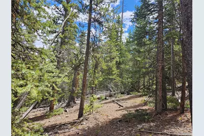 Looney Lane, Fairplay, CO 80440 - Photo 13