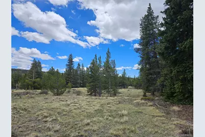 Looney Lane, Fairplay, CO 80440 - Photo 29