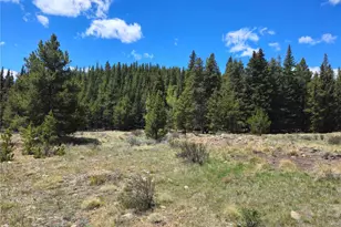 Looney Ln, Fairplay, CO 80440 - Photo 1