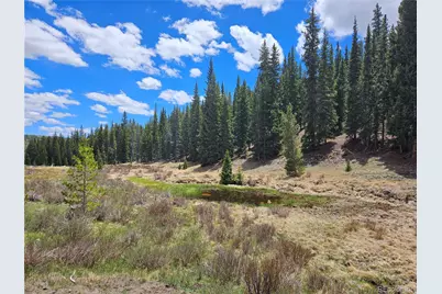 Looney Lane, Fairplay, CO 80440 - Photo 17