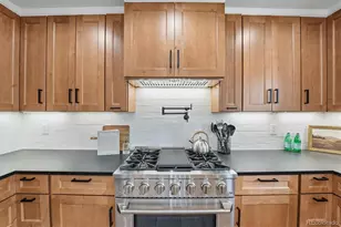 9387 Wolfe Dr, Highlands Ranch, CO 80129 - Photo 17