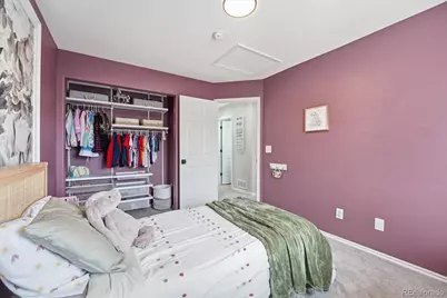 9387 Wolfe Drive, Highlands Ranch, CO 80129 - Photo 43