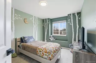 9387 Wolfe Dr, Highlands Ranch, CO 80129 - Photo 35