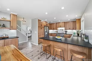 9387 Wolfe Dr, Highlands Ranch, CO 80129 - Photo 15