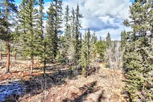45 Swiggler, Jefferson, CO 80456 - Photo 35
