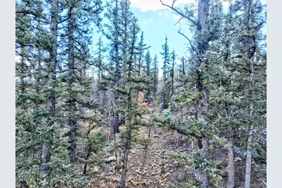 45 Swiggler, Jefferson, CO 80456 - Photo 31