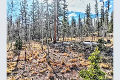 45 Swiggler, Jefferson, CO 80456 - Photo 33