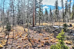45 Swiggler, Jefferson, CO 80456 - Photo 33