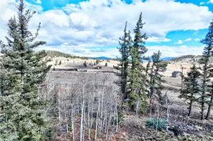 45 Swiggler, Jefferson, CO 80456 - Photo 29