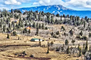 45 Swiggler, Jefferson, CO 80456 - Photo 37