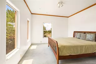 1494 E Badger Rd, Crestone, CO 81131 - Photo 17