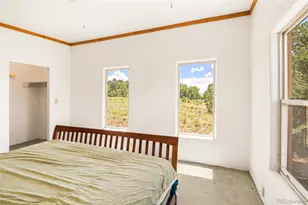 1494 E Badger Rd, Crestone, CO 81131 - Photo 19