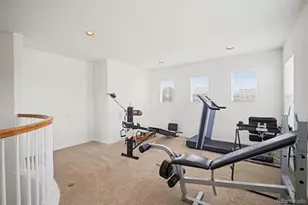10844 Huntwick St, Highlands Ranch, CO 80130 - Photo 19