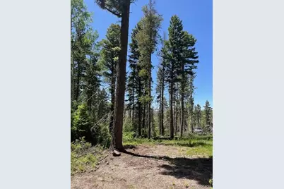 Lot 2449 Petito Drive, Fort Garland, CO 81133 - Photo 1