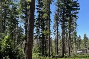 Lot 2449 Petito Dr, Fort Garland, CO 81133 - Photo 1