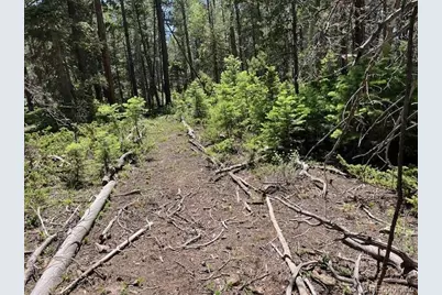 Lot 2449 Petito Drive, Fort Garland, CO 81133 - Photo 9