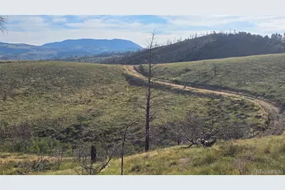 Lot 7719 Hallstein Road, Fort Garland, CO 81133 - Photo 9
