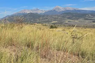 Lot 7719 Hallstein Rd, Fort Garland, CO 81133 - Photo 1