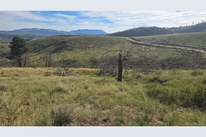 Lot 7719 Hallstein Road, Fort Garland, CO 81133 - Photo 5