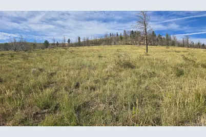 Lot 7719 Hallstein Road, Fort Garland, CO 81133 - Photo 7