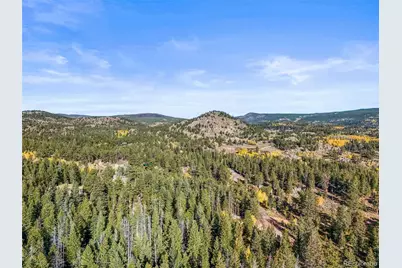 311 Shawnee Road, Red Feather Lakes, CO 80545 - Photo 43