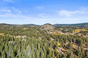 311 Shawnee Rd, Red Feather Lakes, CO 80545 - Photo 43